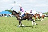 UKPA NC SAT_2418